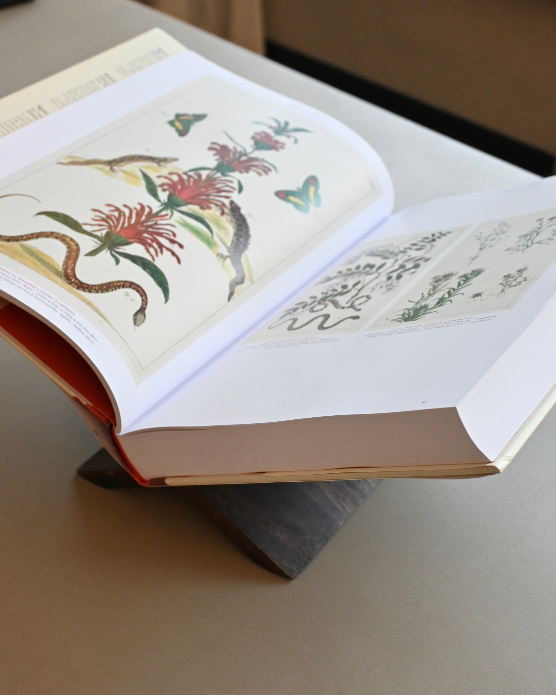 Atril portalibros de madera oscura