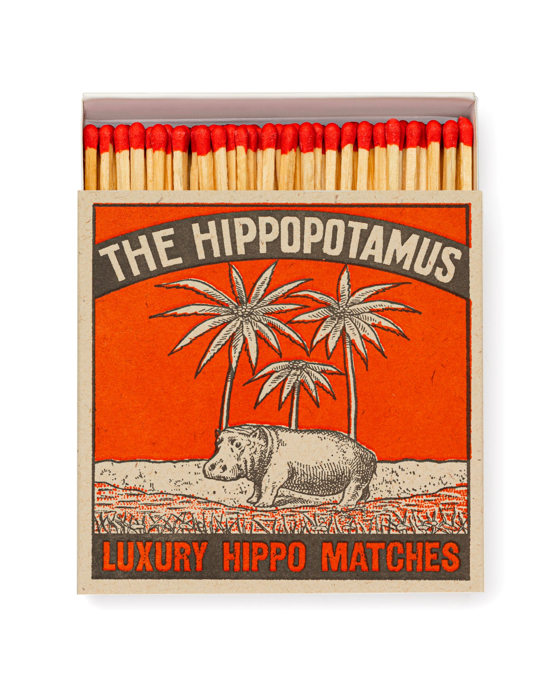 CERILLAS - S - Hippo
