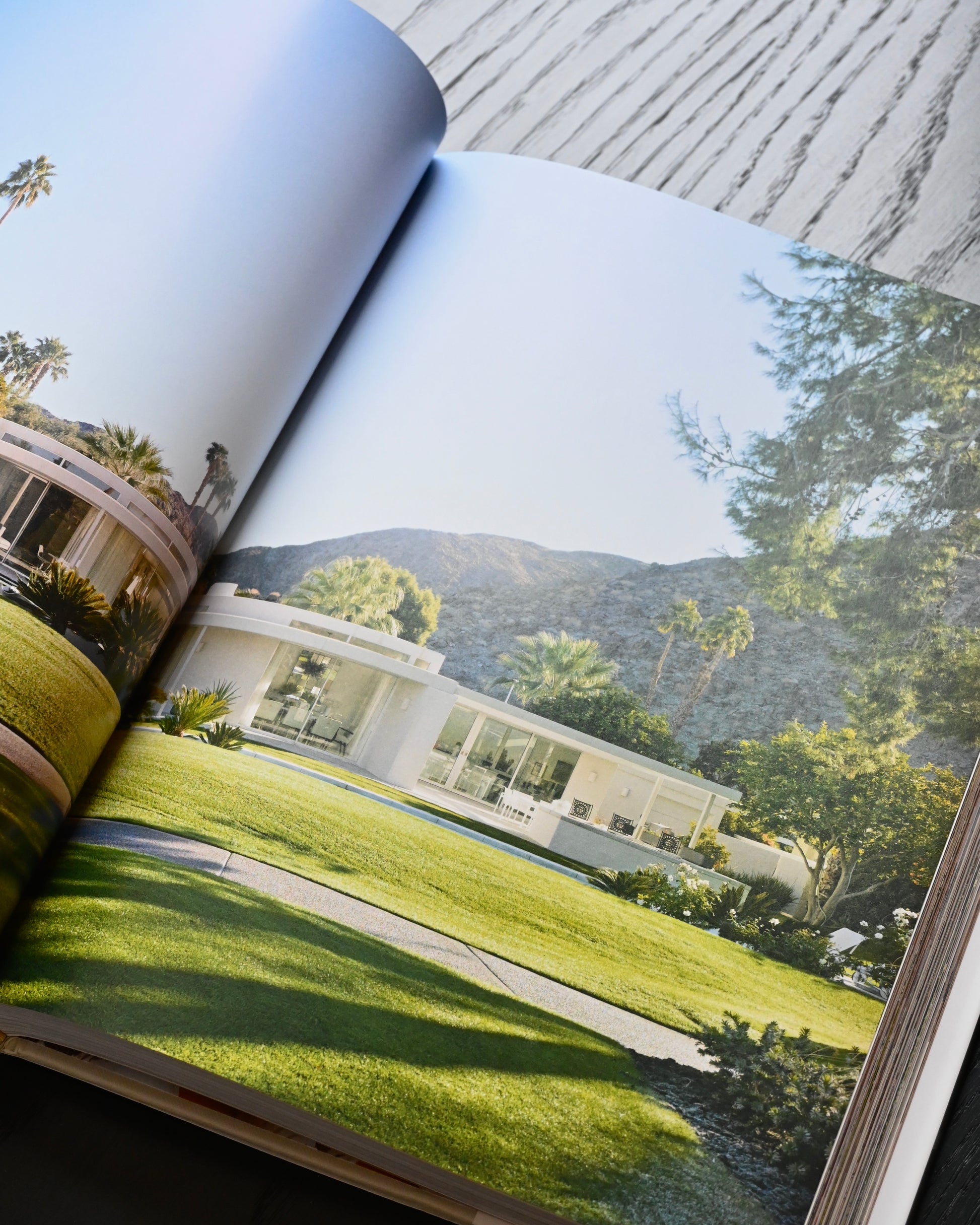 LIBRO - Distinctly Modern Interiors