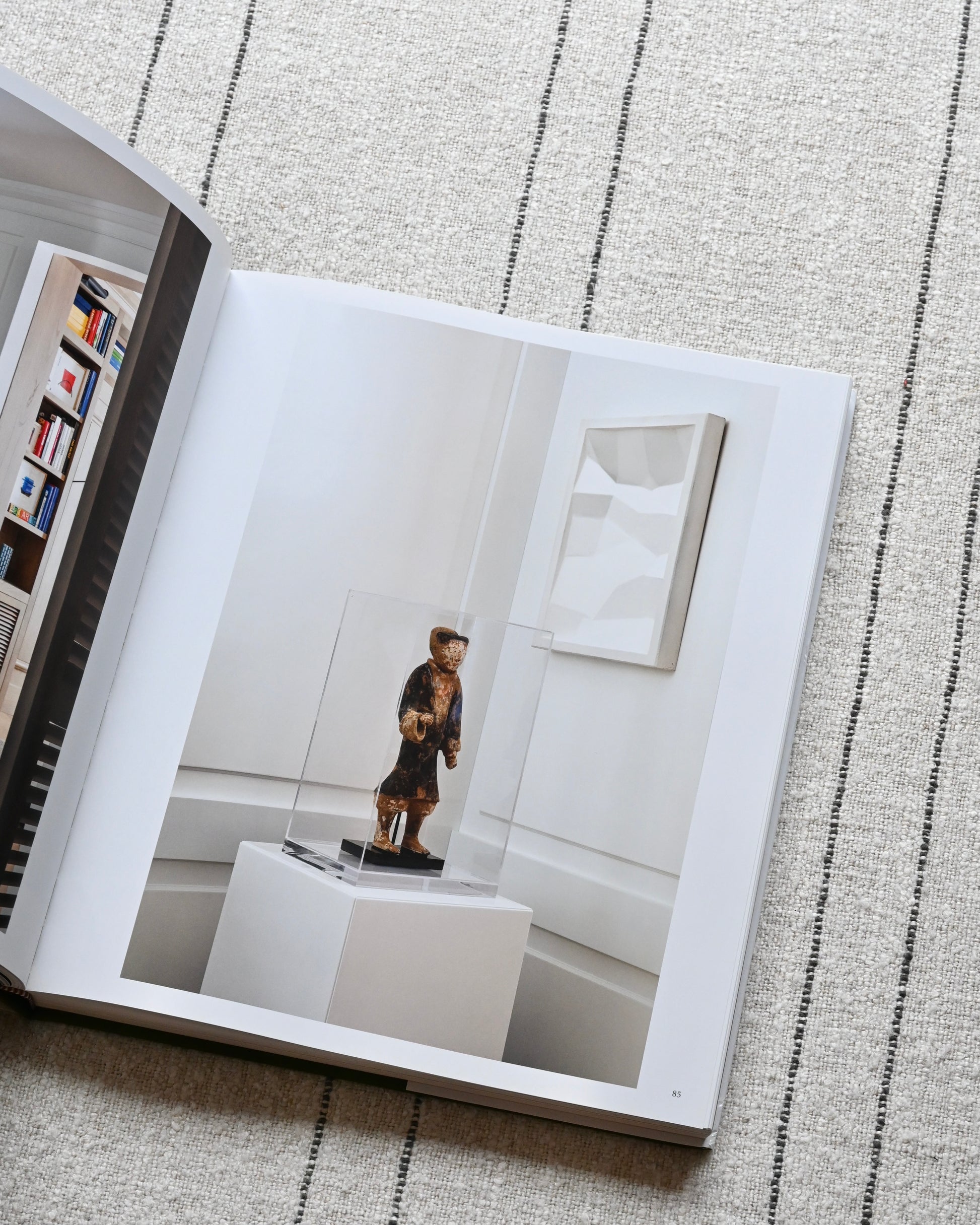 LIBRO - Jaime Arena